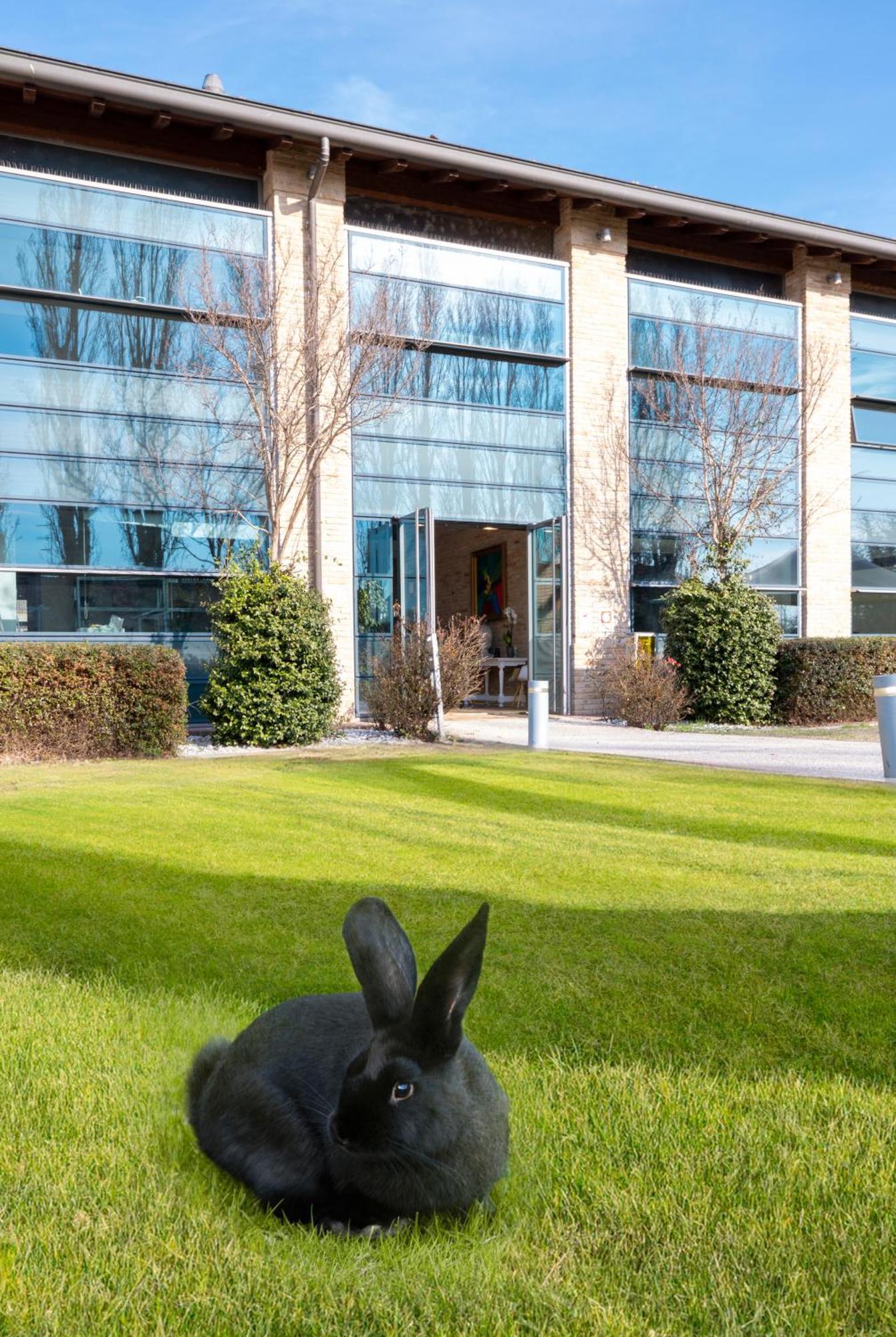 Best Western Hotel Green City Parma Esterno foto