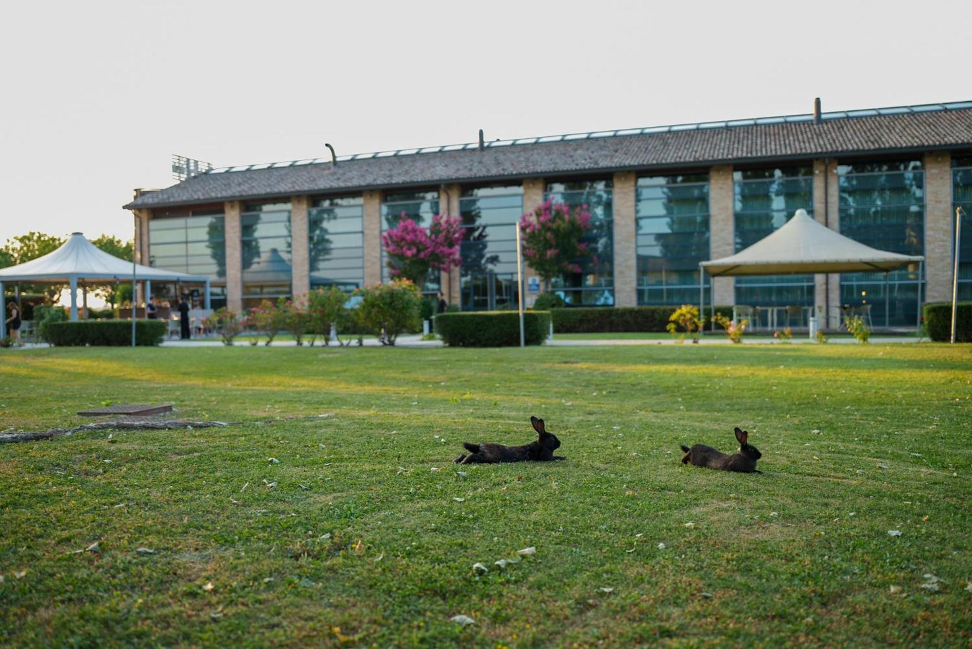 Best Western Hotel Green City Parma Esterno foto