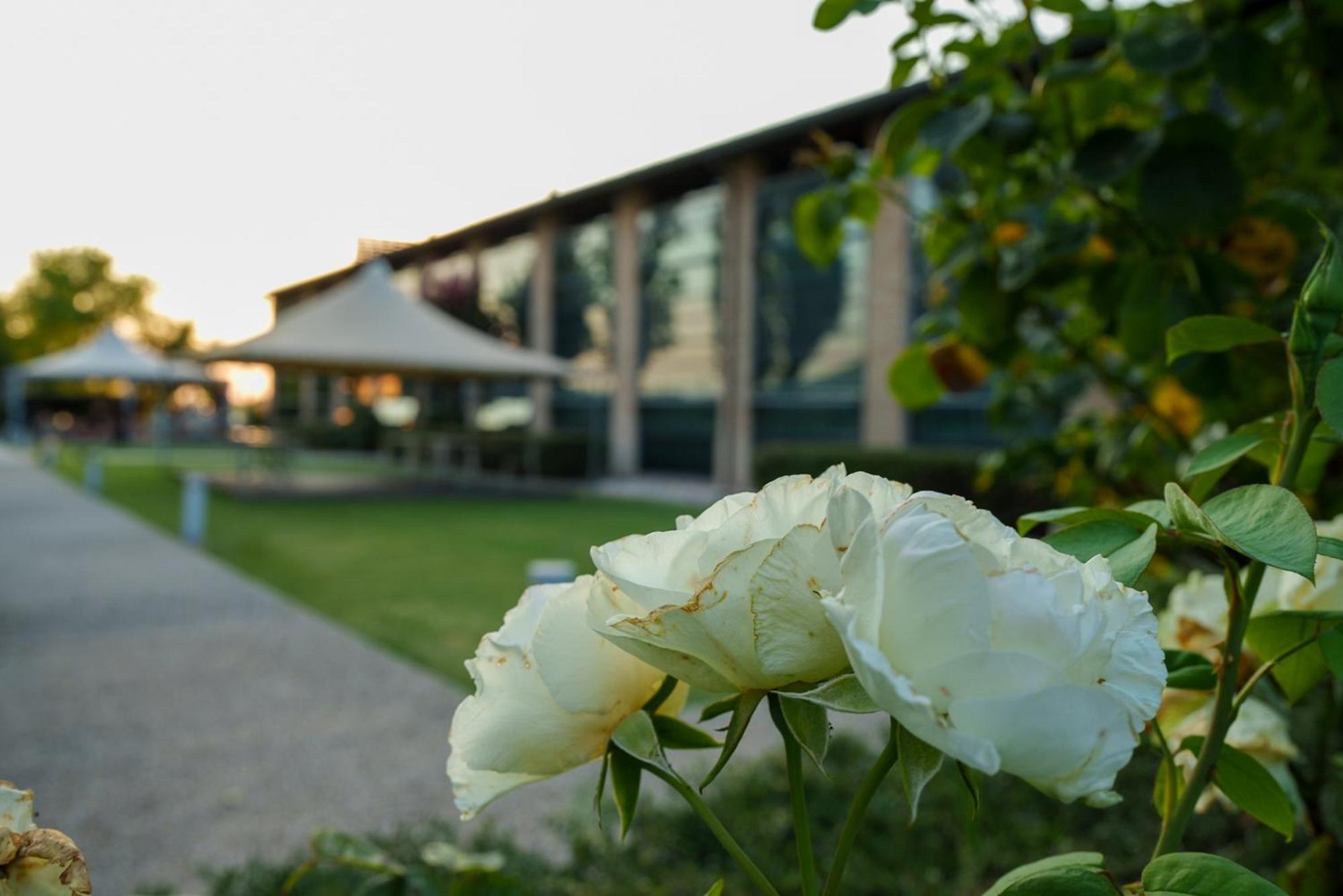 Best Western Hotel Green City Parma Esterno foto